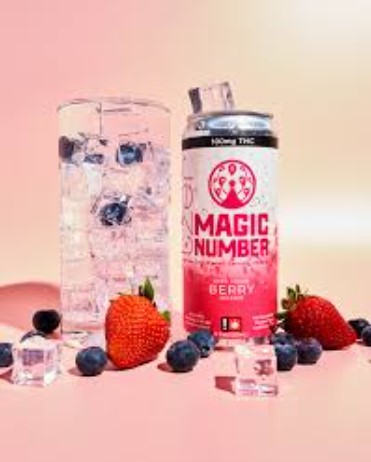 Photograph of product: Infused Seltzer | Berry | 100mg