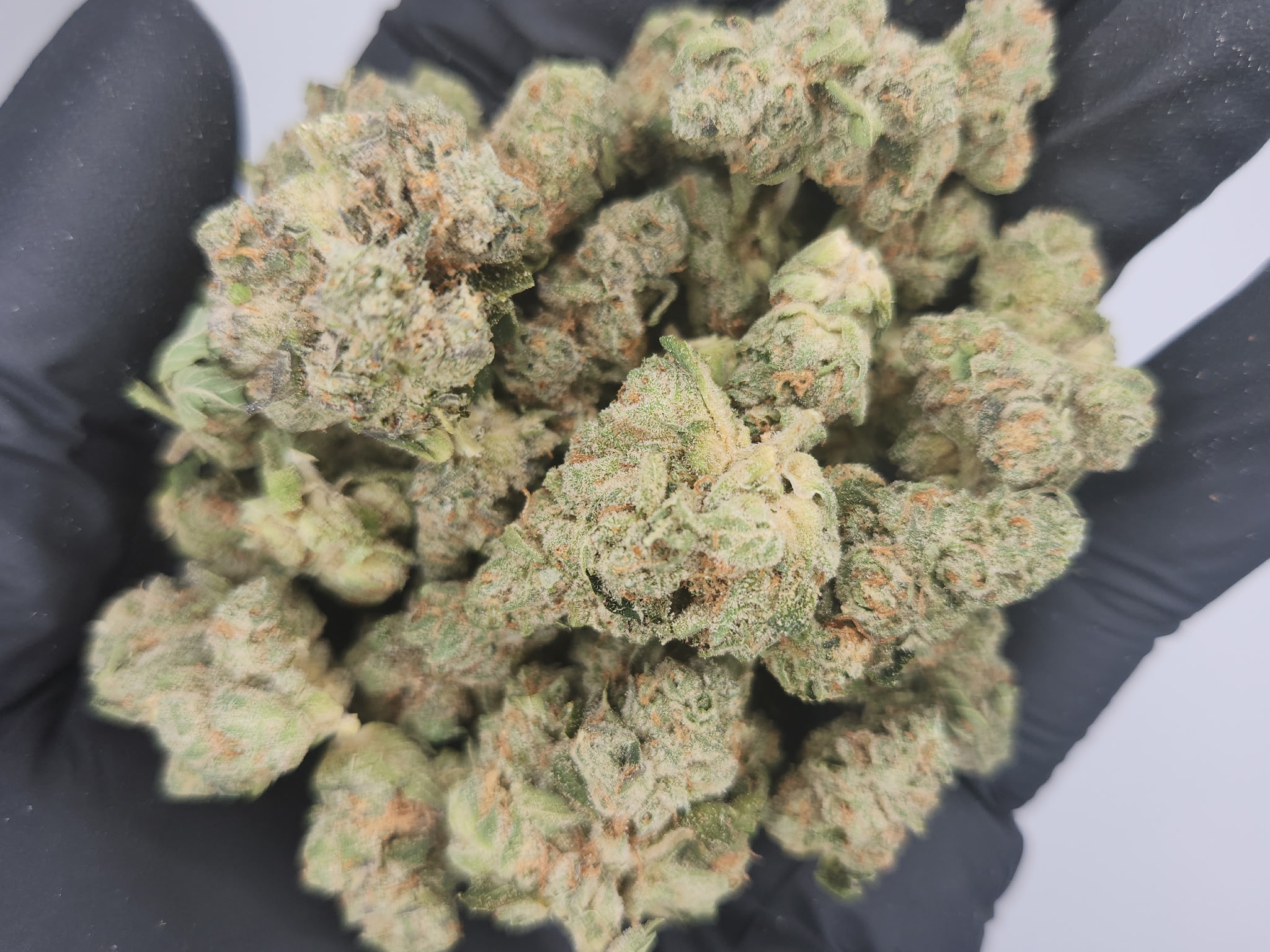 Photograph of product: BHL | Bulk Bud - Garlic Punch - 28g