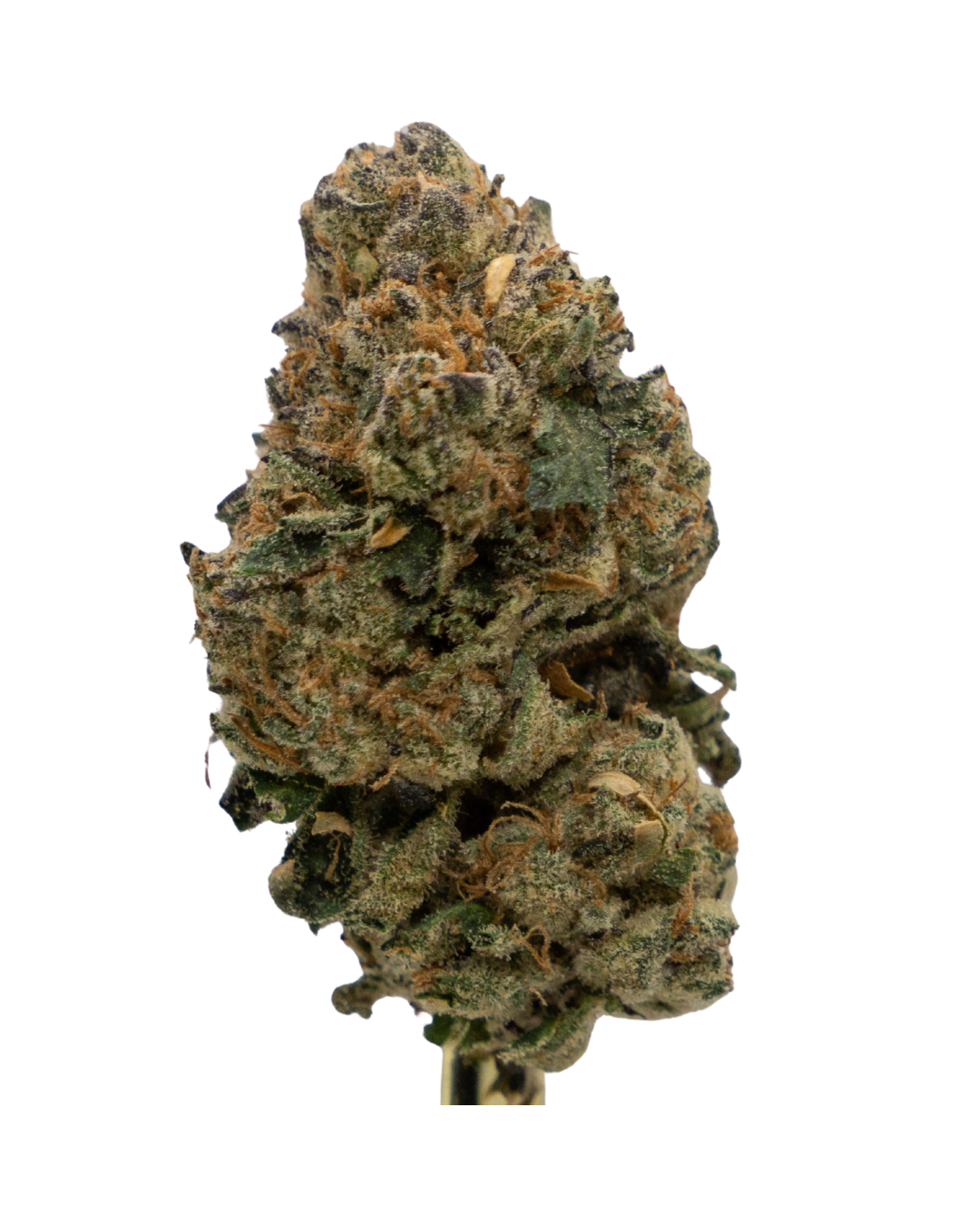 Photograph of product: SS 0.5oz - LMN CHRY GLTO - 14g