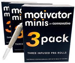 Photograph of product: (92104) (0.5g) 3pkCitrus Chiller Mini Motivator