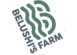 Photograph of product: Dreadbread Pre-Packaged (3.5g) (Belushi Farms)