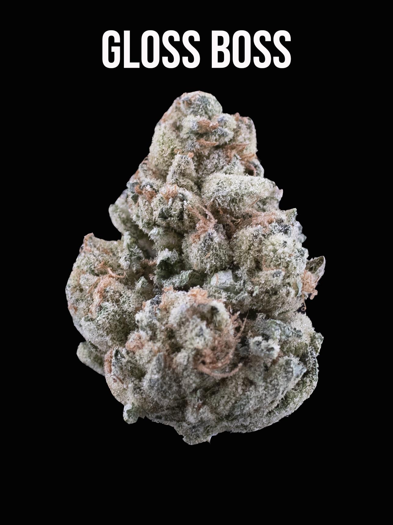 Photograph of product: Gloss Boss (S) - Prepack - 14g