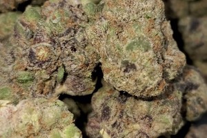 Photograph of product: Apples and Bananas - 3.5g