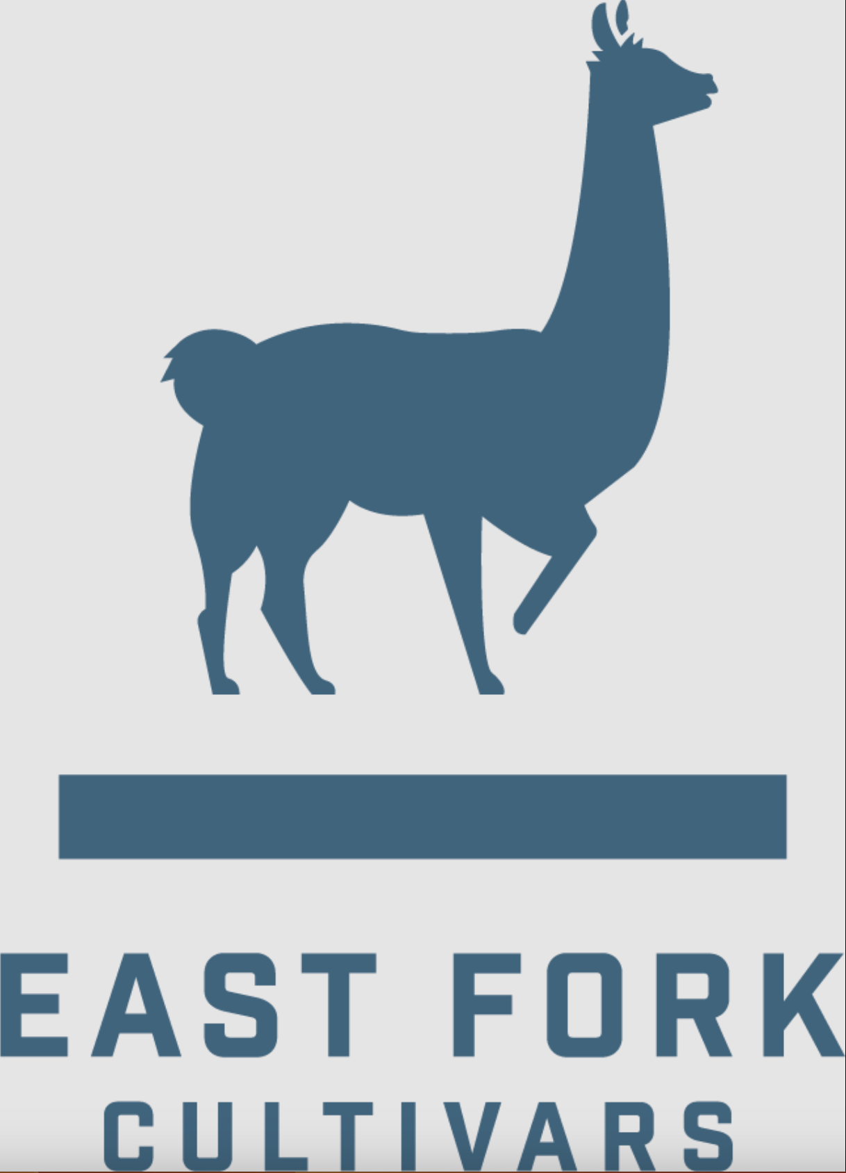 Photograph of product: Tangerang | 2:1 CBD | East Fork - 28g