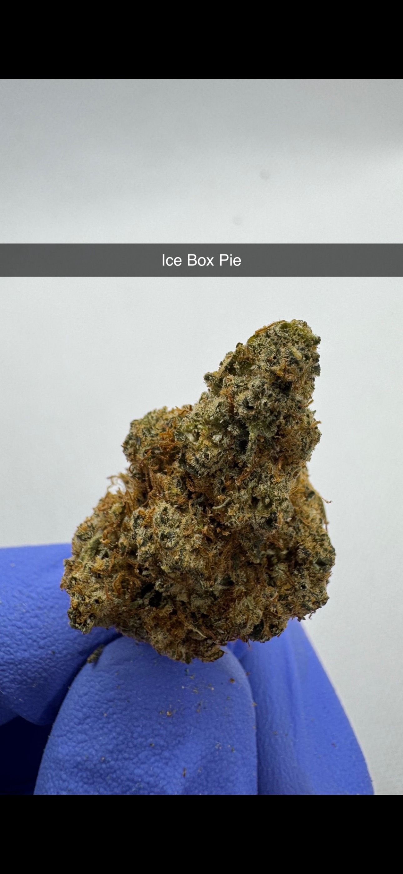Photograph of product: Ice Box Pie - Flower - Hybrid - 28g