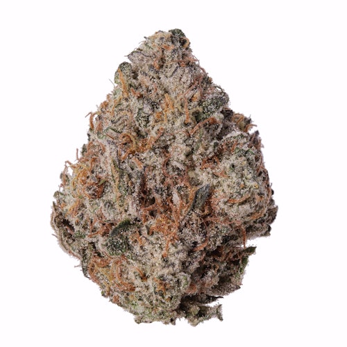 Photograph of product: MNG TOP SHELF - FLOWER - 4G - HYBRID - KUSH MINTS