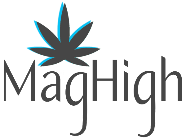 Photograph of product: Mag High | 2.5g | Spritzer | 5pk