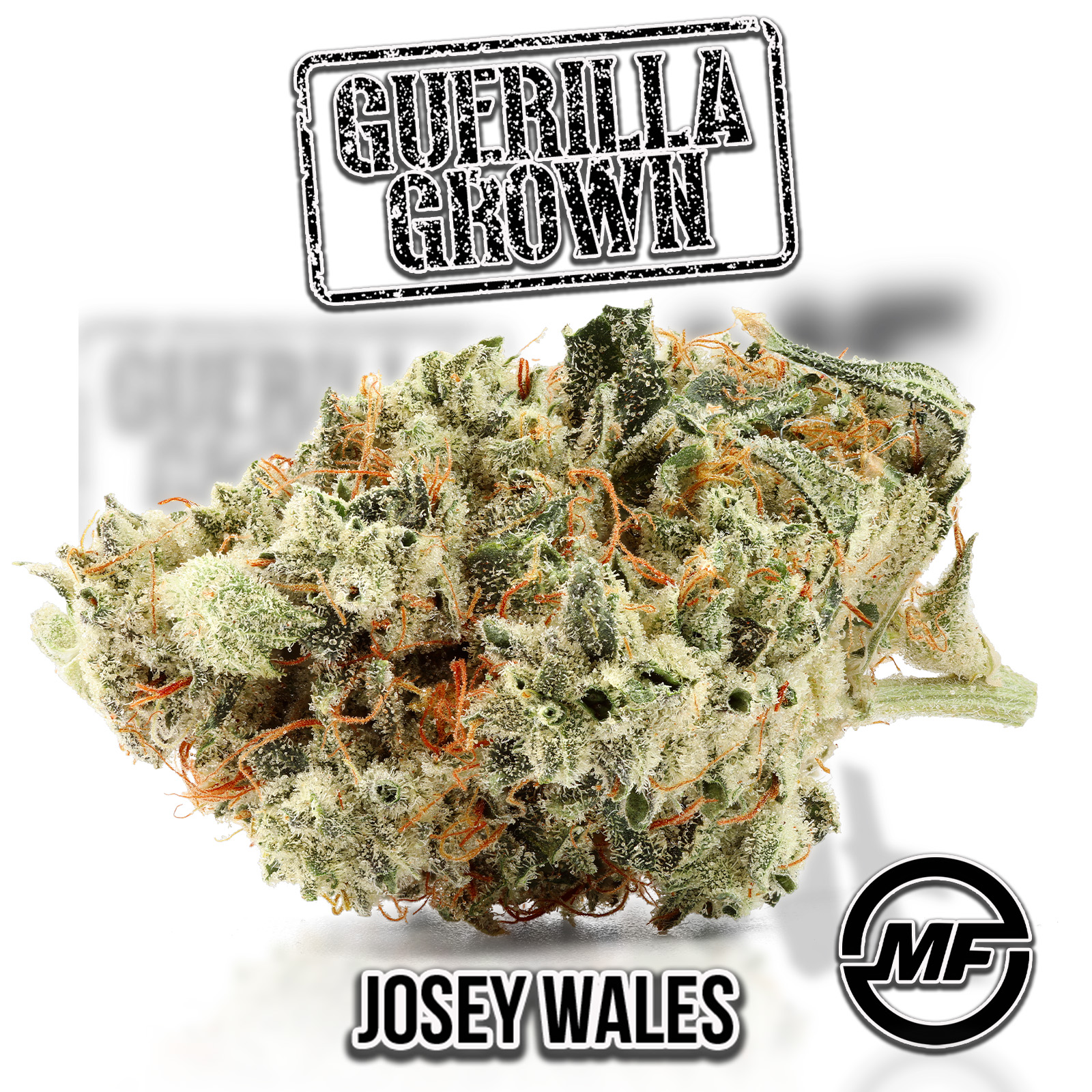Photograph of product: Guerilla Grown | Josey Wales | Smalls - 28g