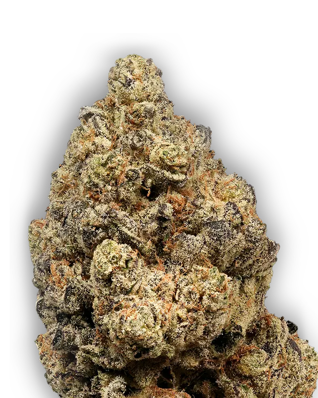 Photograph of product: Green Room Oui'd I Flower I Permanent Marker - Indoor Hydroponically Grown - 3.5g