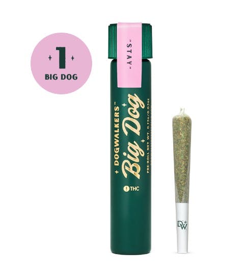 Photograph of product: Big Dog Afternoon Delight #4 - Single