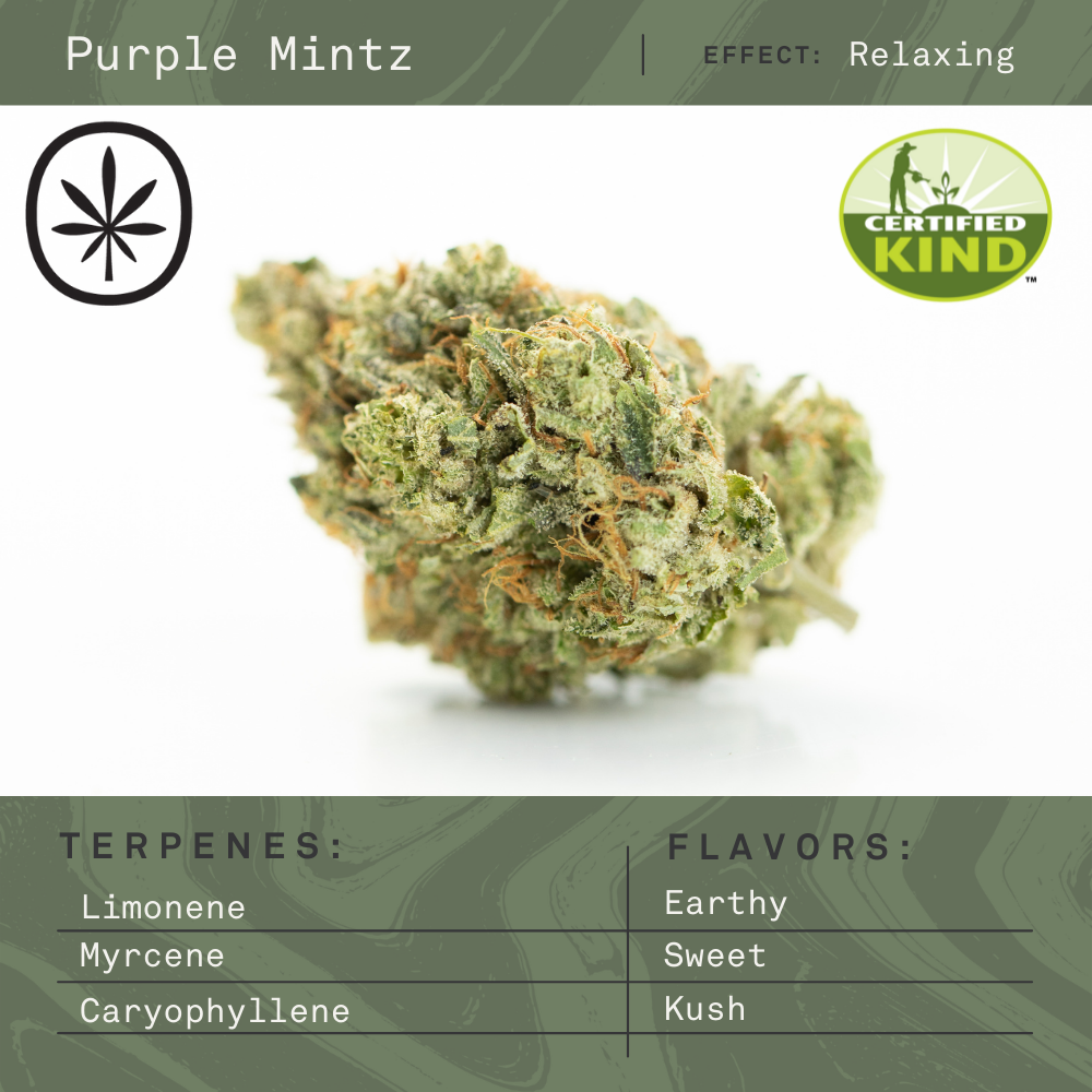 Photograph of product: Apothecare | Purple Mintz | Bulk Flower - 28g
