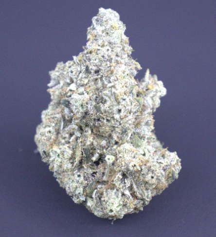 Photograph of product: Goat Gas - Buds - 3.5g