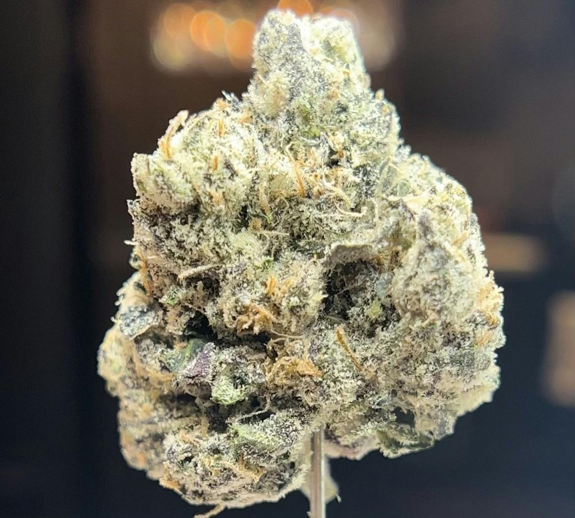 Photograph of product: Sticky Status - Lemon Cherry Gelato - 3.5g