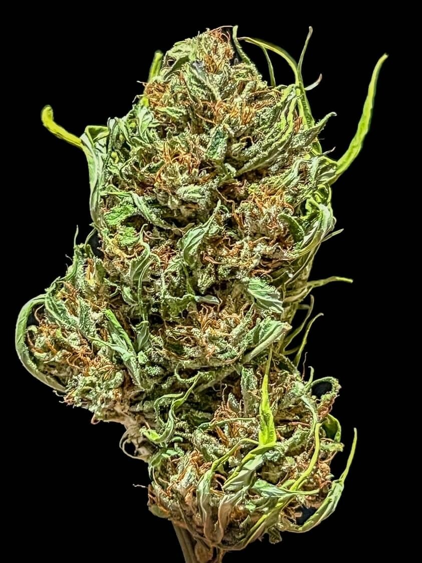 Photograph of product: Bohemian Chemist Acapulco Gold, 3.5g