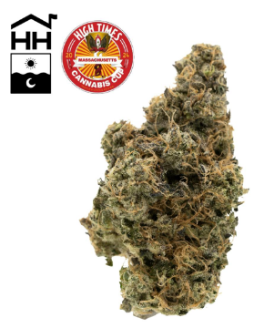 Photograph of product: Black Maple Strain | Flower 3.5g - Thrive
