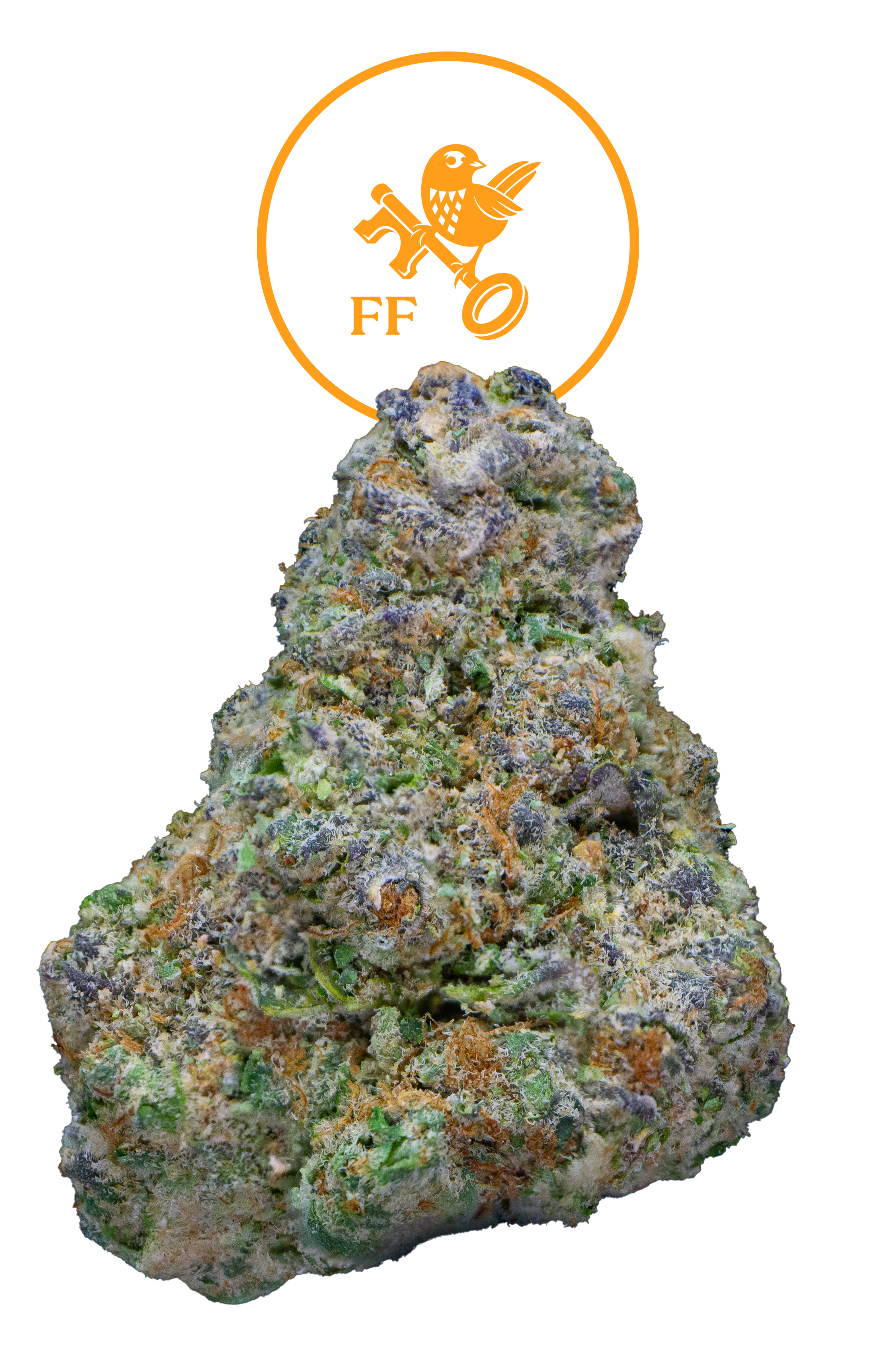 Photograph of product: FRANKLIN FIELDS | BULK FLOWER | ORANGE CANDY - 28g
