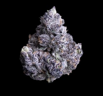 Photograph of product: Prizm - Half