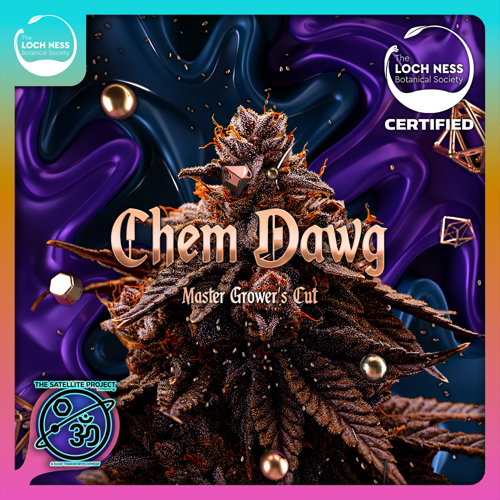 Photograph of product: Chem Dawg | Flower (MG Cut) - 1g