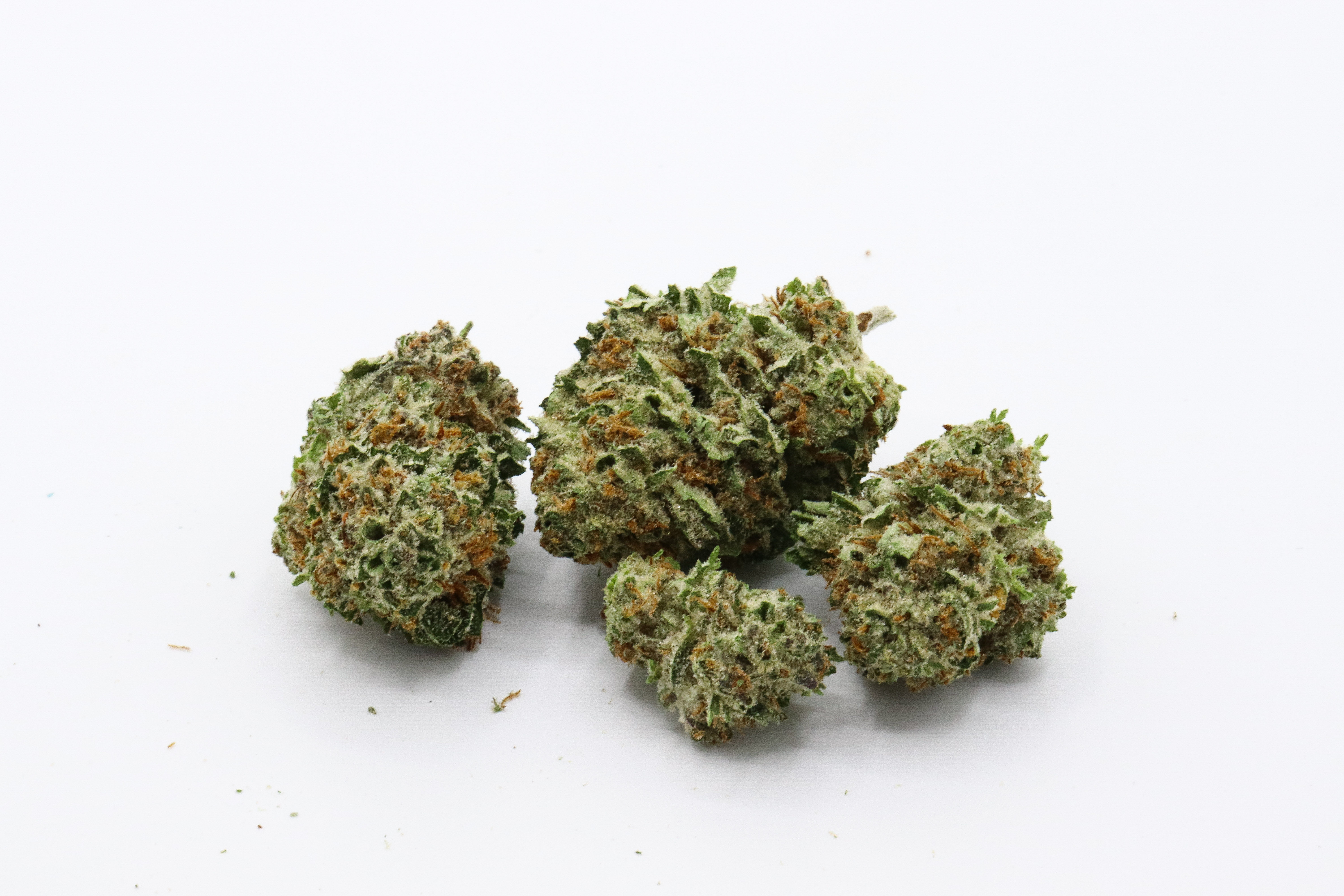 Photograph of product: Spec Ops Bulk (CB) - 28g