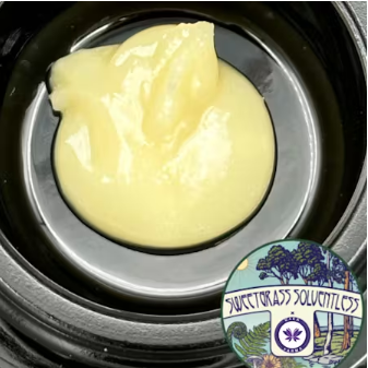 Photograph of product: U4EA Pie Dough 1g Live Rosin