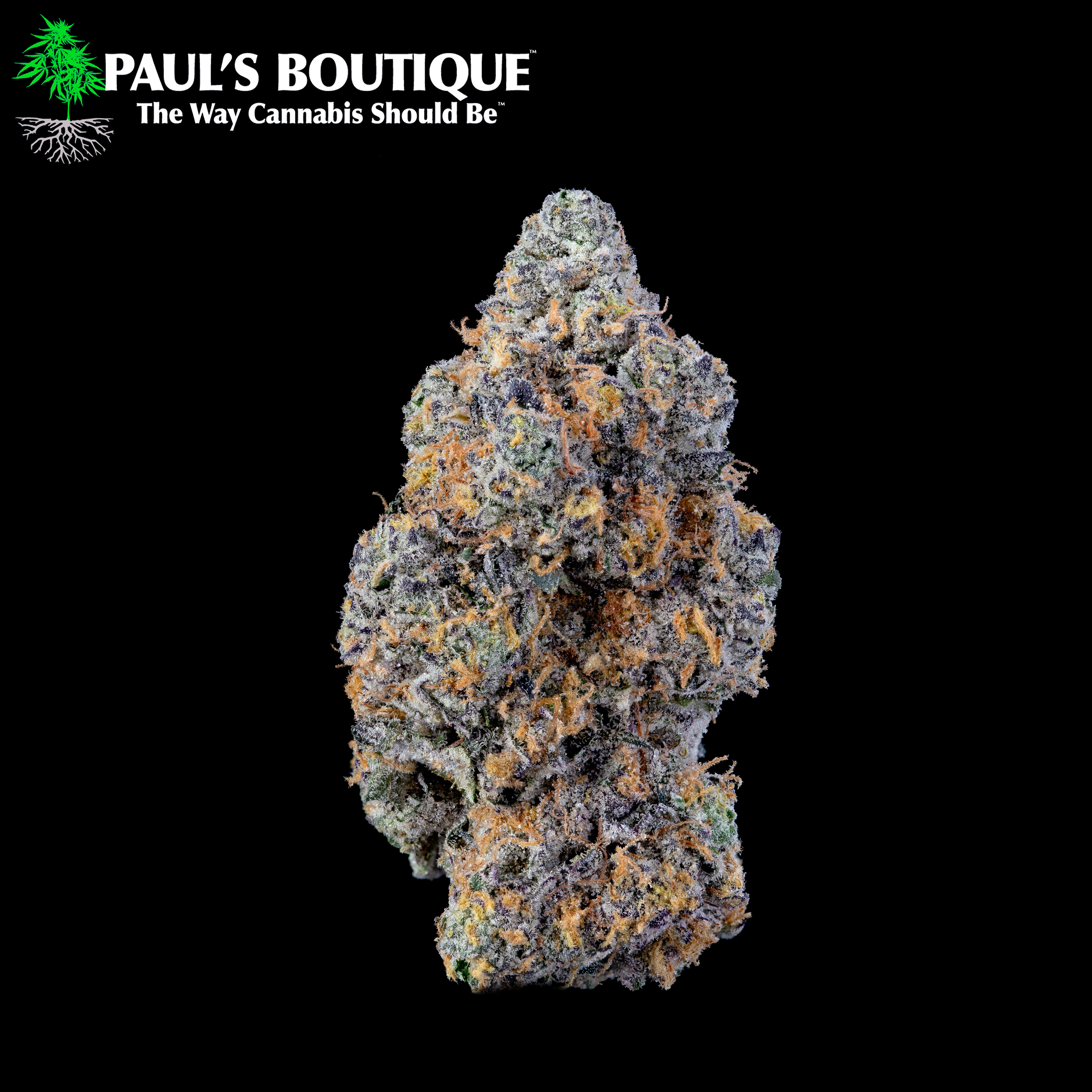Photograph of Product: Paul's Boutique - C.R.E.A.M - 3.5g