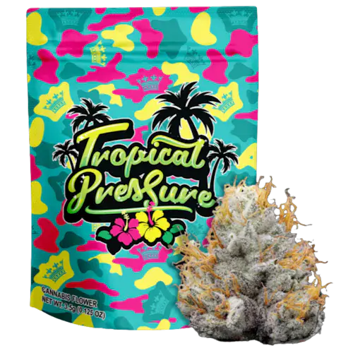 Photograph of Product: TROPICAL PRESSURE - MASONIC'S BLACK LIME RESERVE X RESIDENTIAL BELTS 5