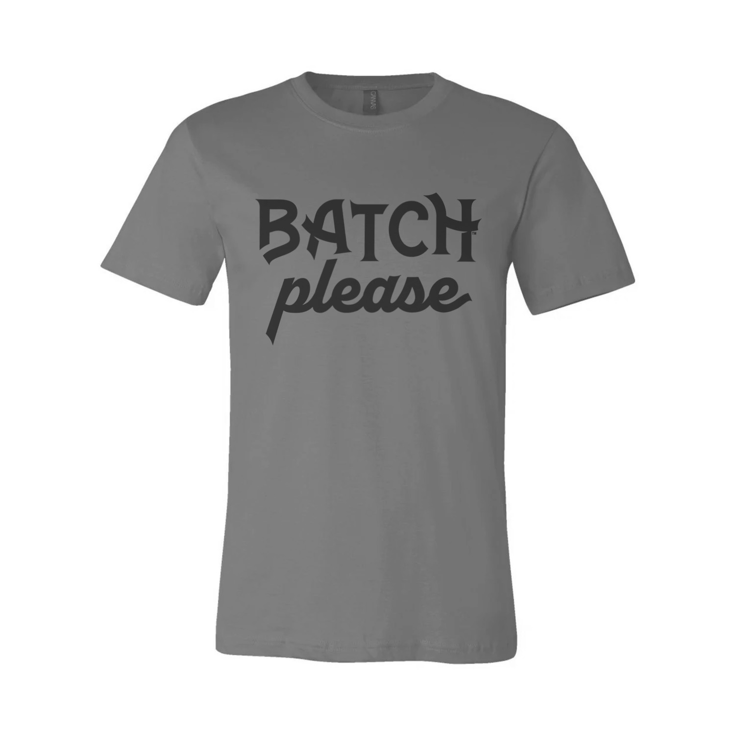 Photograph of product: Batch | Apparel | T-Shirt Batch Please Gray | S