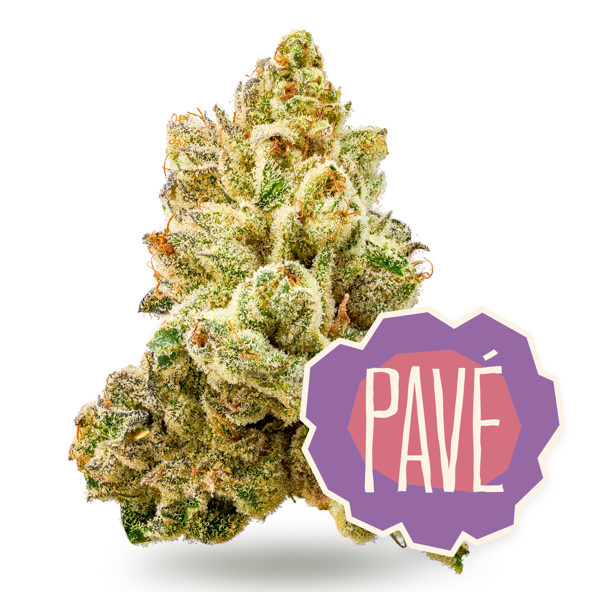 Photograph of product: Pave | 7g