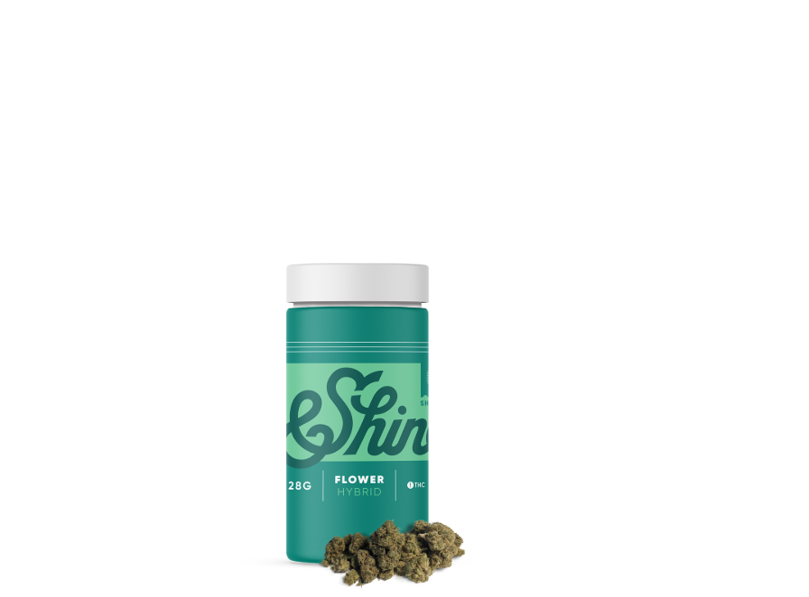 Photograph of product: &Shine Baklava 28g