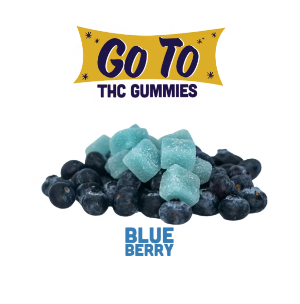 Photograph of product: Go To Blueberry Gummies 100mg 20pk