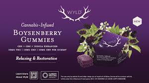 Photograph of product: Wyld | Gummies | Boysenberry 1:1:1 CBD:CBN | 100mg