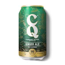 Photograph of product: Ginger Ale | 12oz Soda
