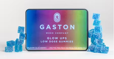 Photograph of product: Gaston | Glow Ups | Blackberry | Gummies | 50MG (1MG ea)