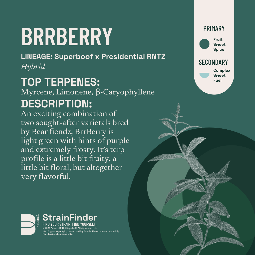 Photograph of product: BrrBerry | Hybrid | [2.83g]
