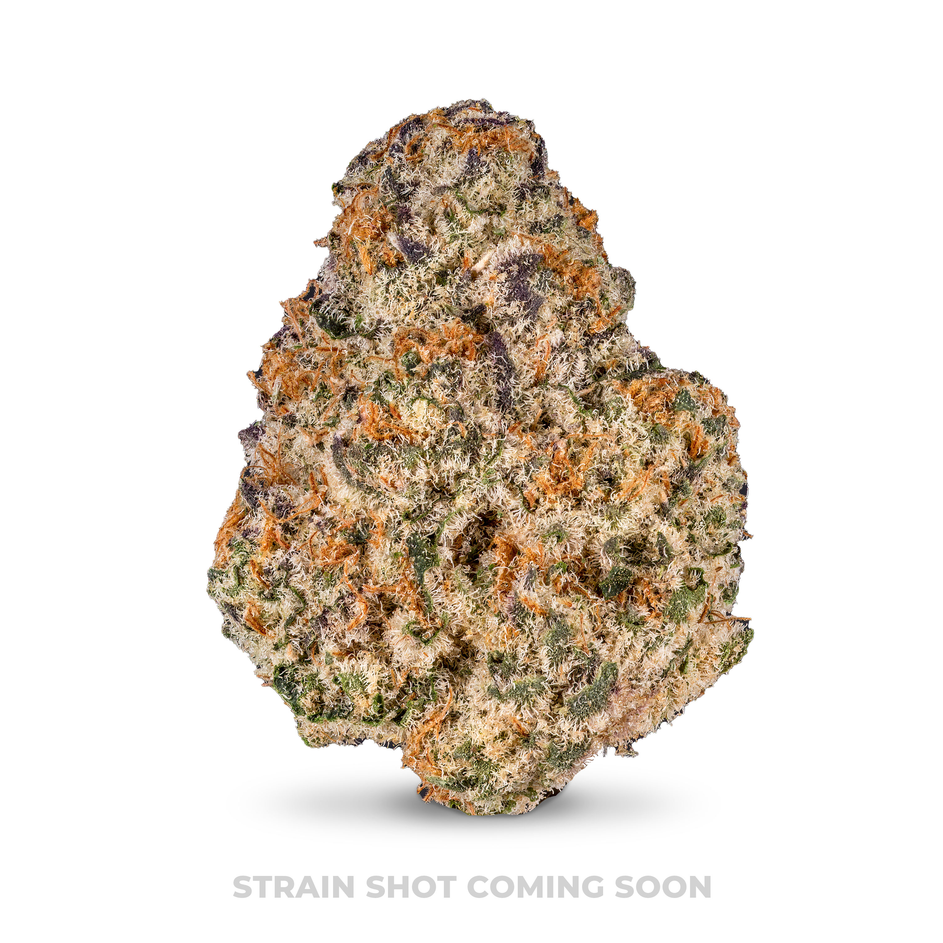 Photograph of product: Glitter Bomb - 3.5g