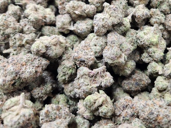 Photograph of product: Fire Tier Deli - White Burgundy - 1g