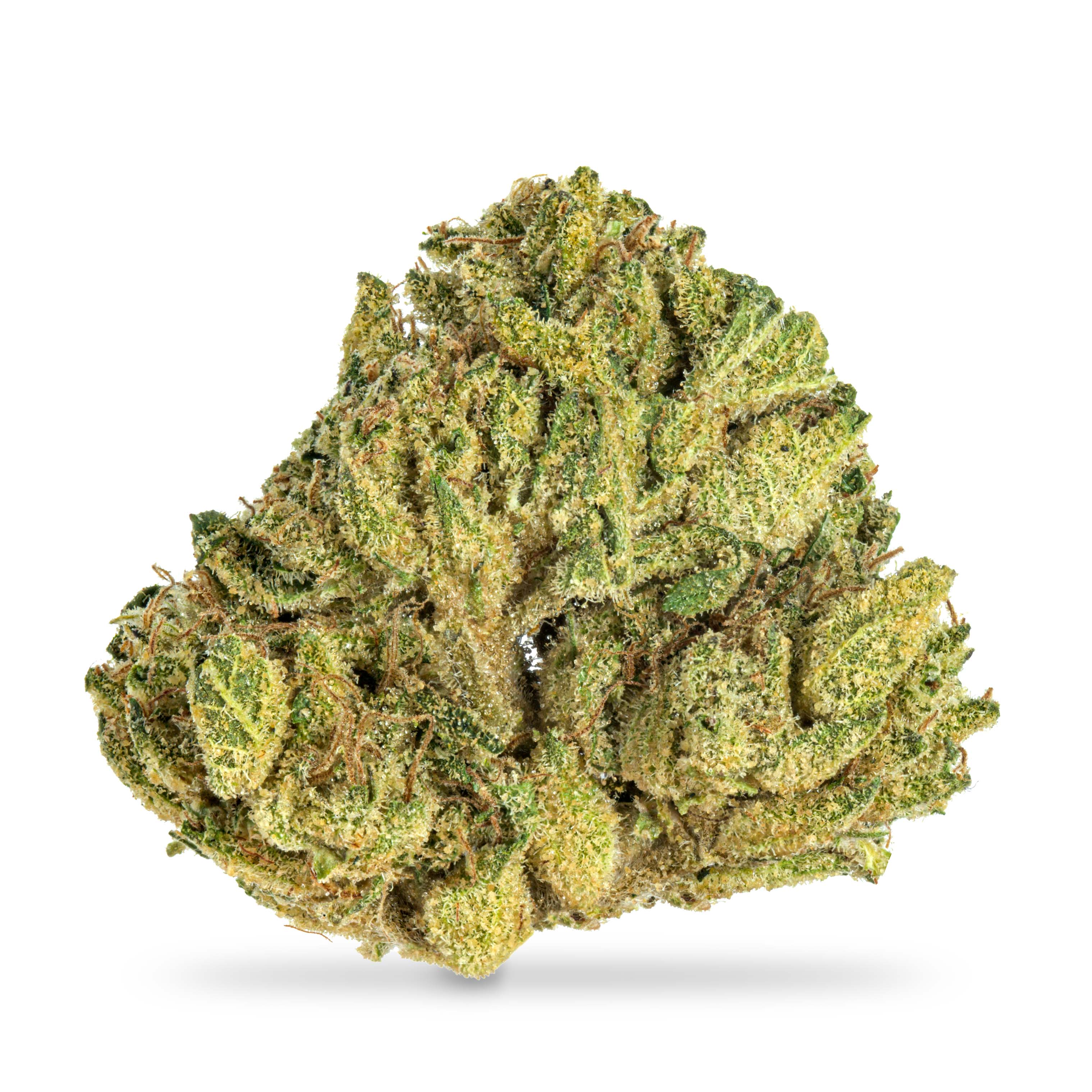 Photograph of product: Purple Nerds B Buds - 3.5g