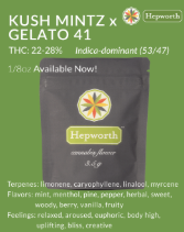 Photograph of product: Hepworth | Kush Mintz x Gelato 41 | Hybrid | Flower | 3.5g