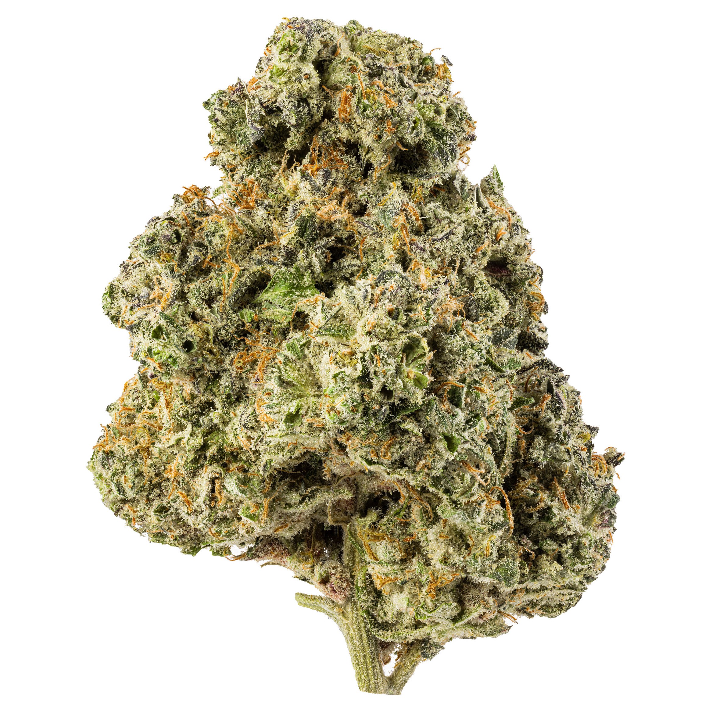 Photograph of product: Forte Unicorn OG Buds - 28g