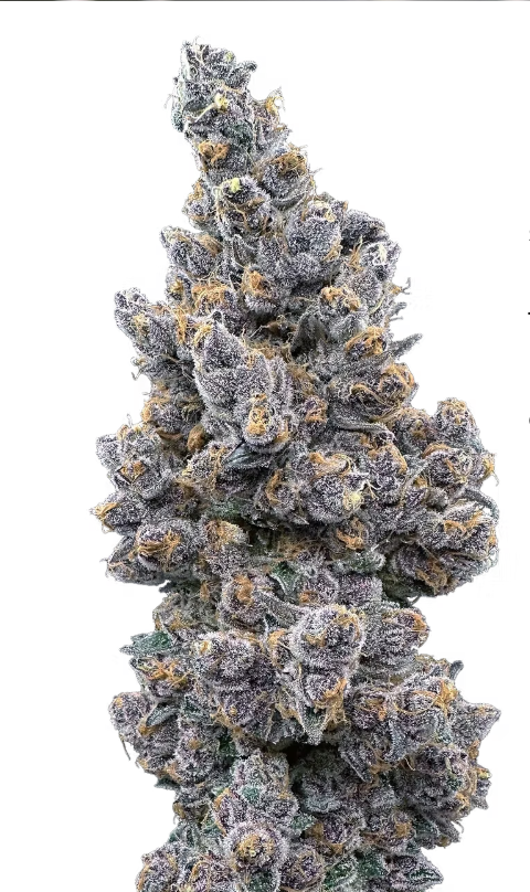 Photograph of product: Super Boof | Pre-Roll | 1g