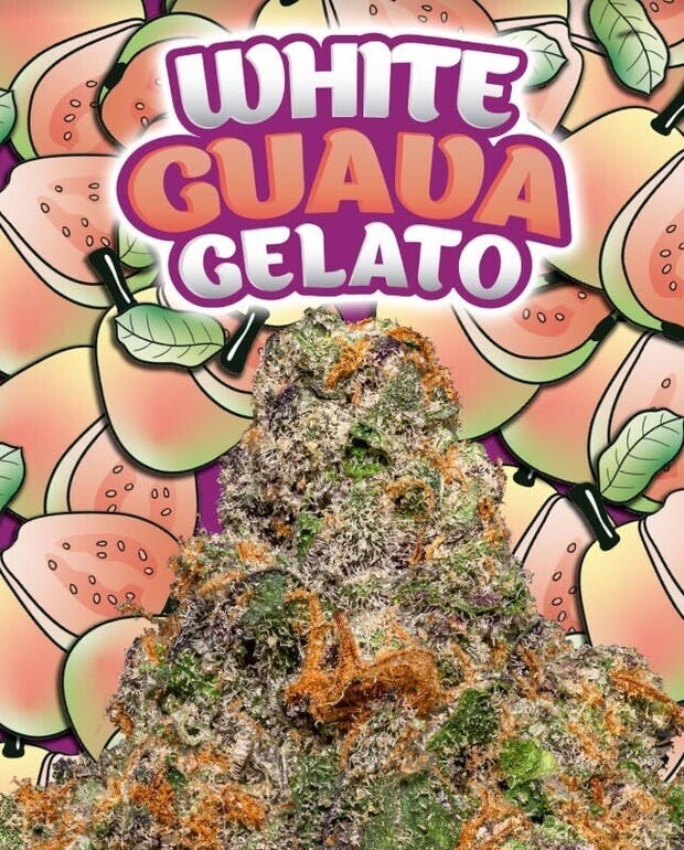 Photograph of product: White Guava 3.5 - 3.5g