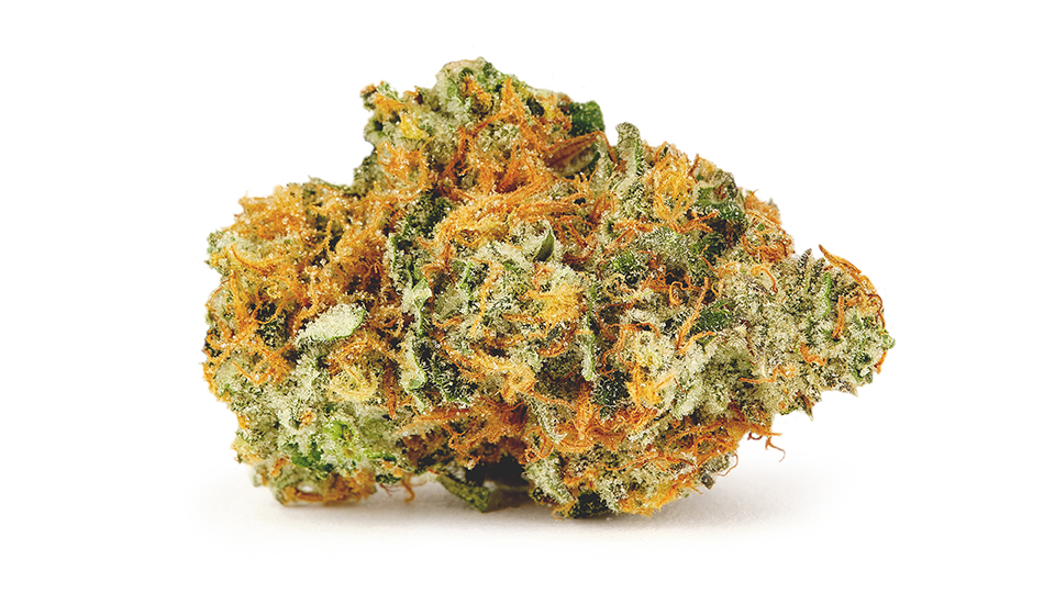 Photograph of product: Jenny Kush- Full Bud Oz 28g