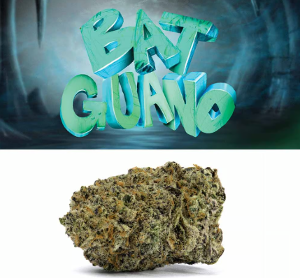 Photograph of product: Flower | Cookies | Bat Guano - 3.5g