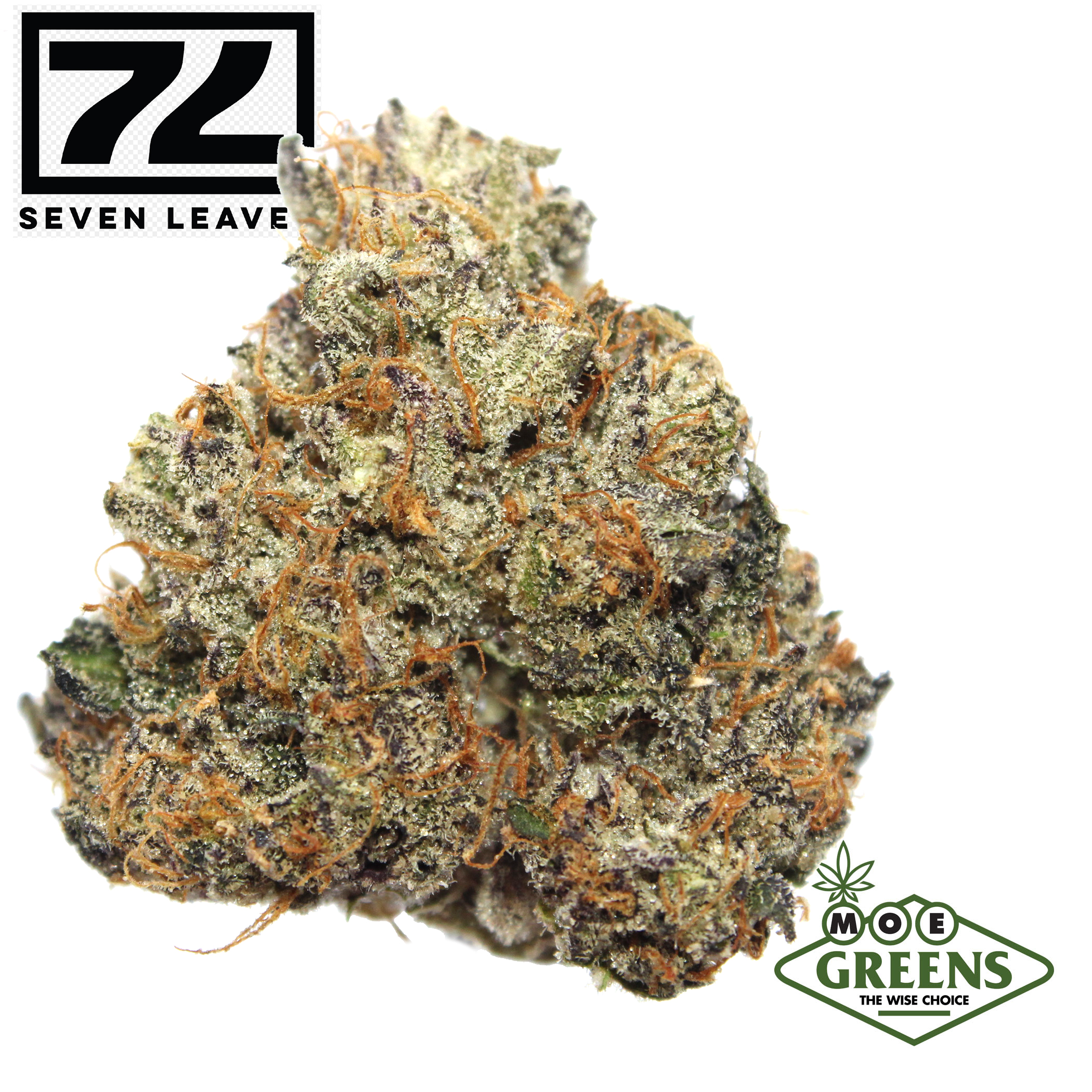 Photograph of product: CHAMPAGNE SHOWERS