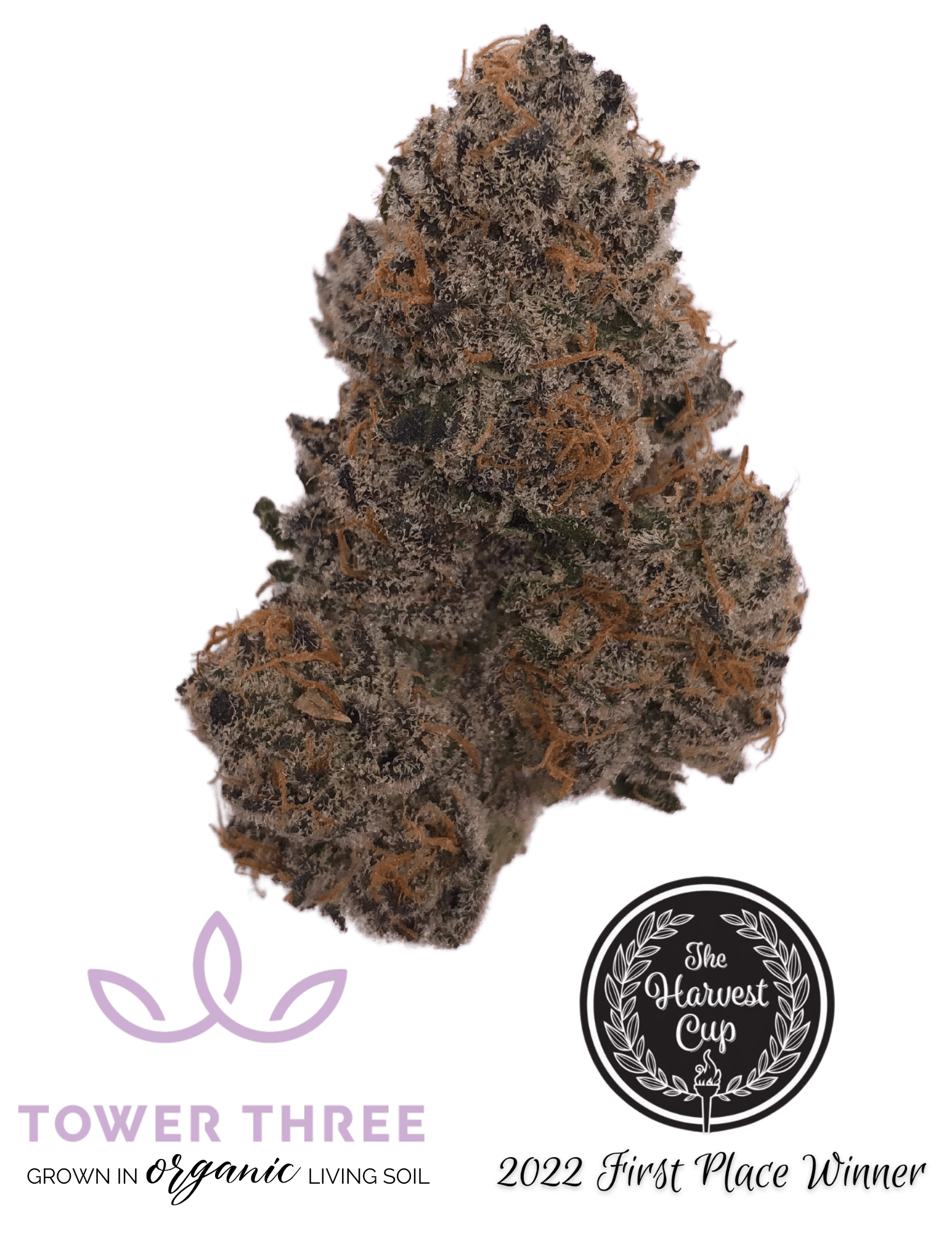 Photograph of product: Half Pint Strain | Flower 3.5g - Discover