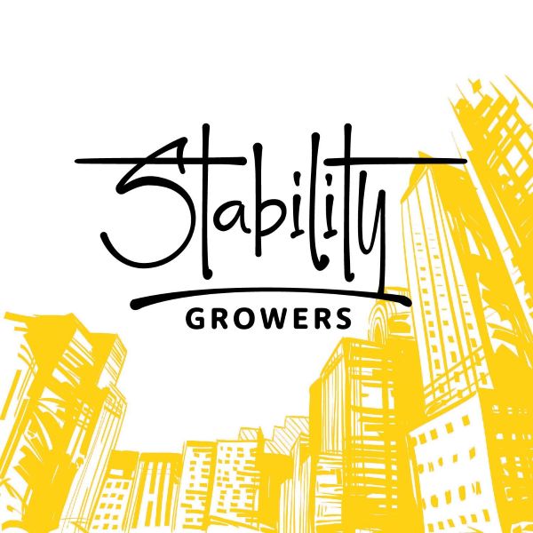 Photograph of product: STABILITY GROWERS - STRAWPICANNA 0.5G PRE-ROLL