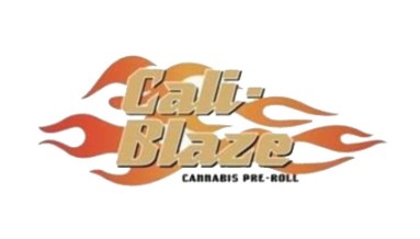 Photograph of product: Cali Blaze | Tropical Smoothie | 1g Disposable LR Vape