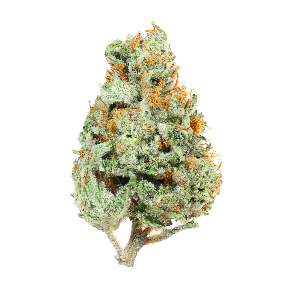 Photograph of product: PAPAYA PUNCH 14G