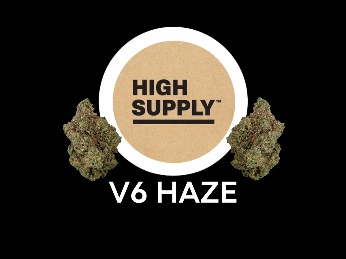 Photograph of product: HIGH SUPPLY | V6 HAZE - PRE PACK Oui'd - 3.5g