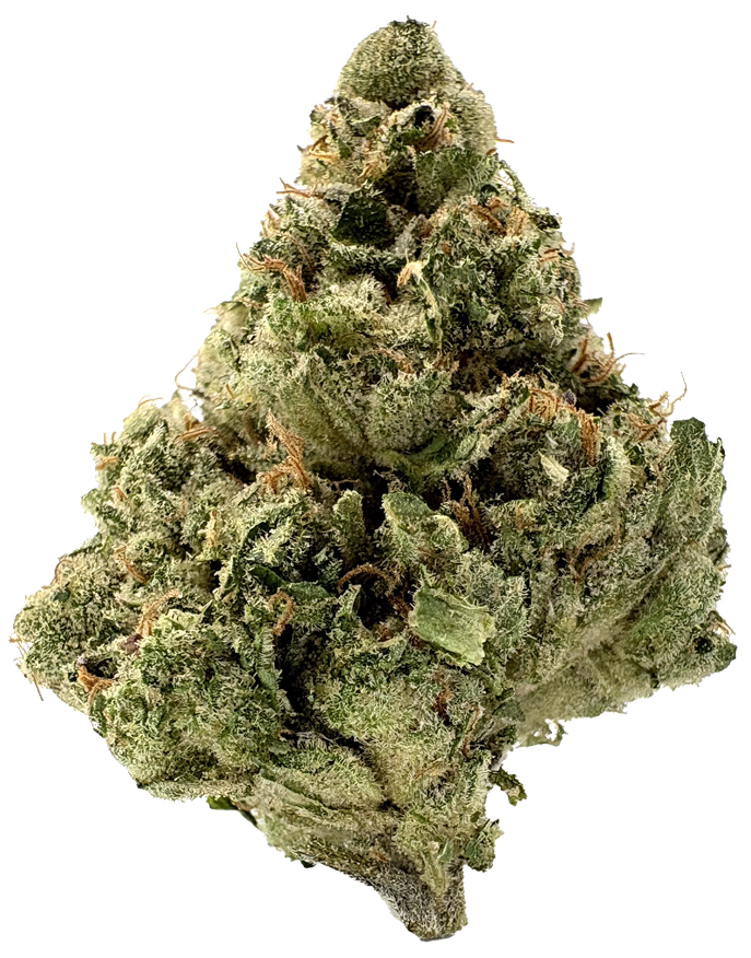 Photograph of product: Chameleon Craft | Mule Fuel | 4.2G